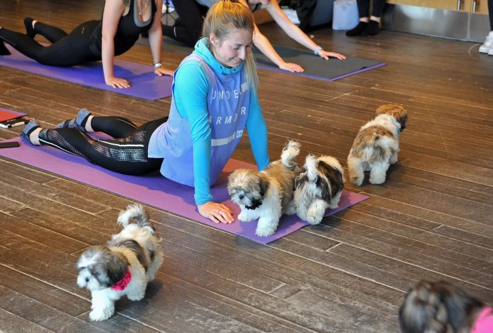 Puppy yoga