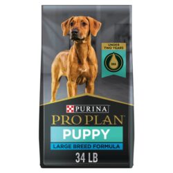 Large breed puppy dog food