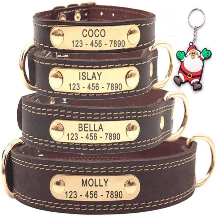 Puppy collars custom