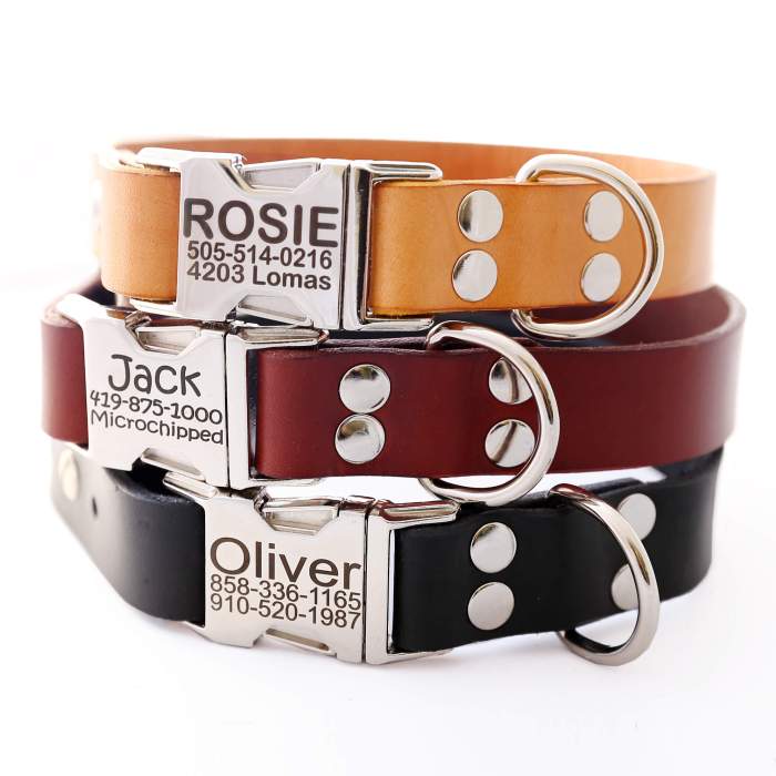 Puppy collars custom